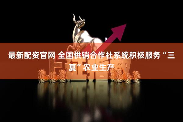 最新配资官网 全国供销合作社系统积极服务“三夏”农业生产